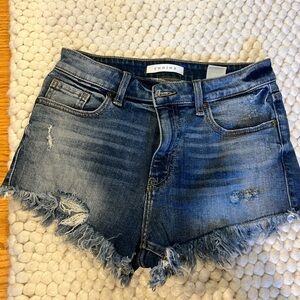Eunina Blue Distressed Jean Shorts Frayed Hem
